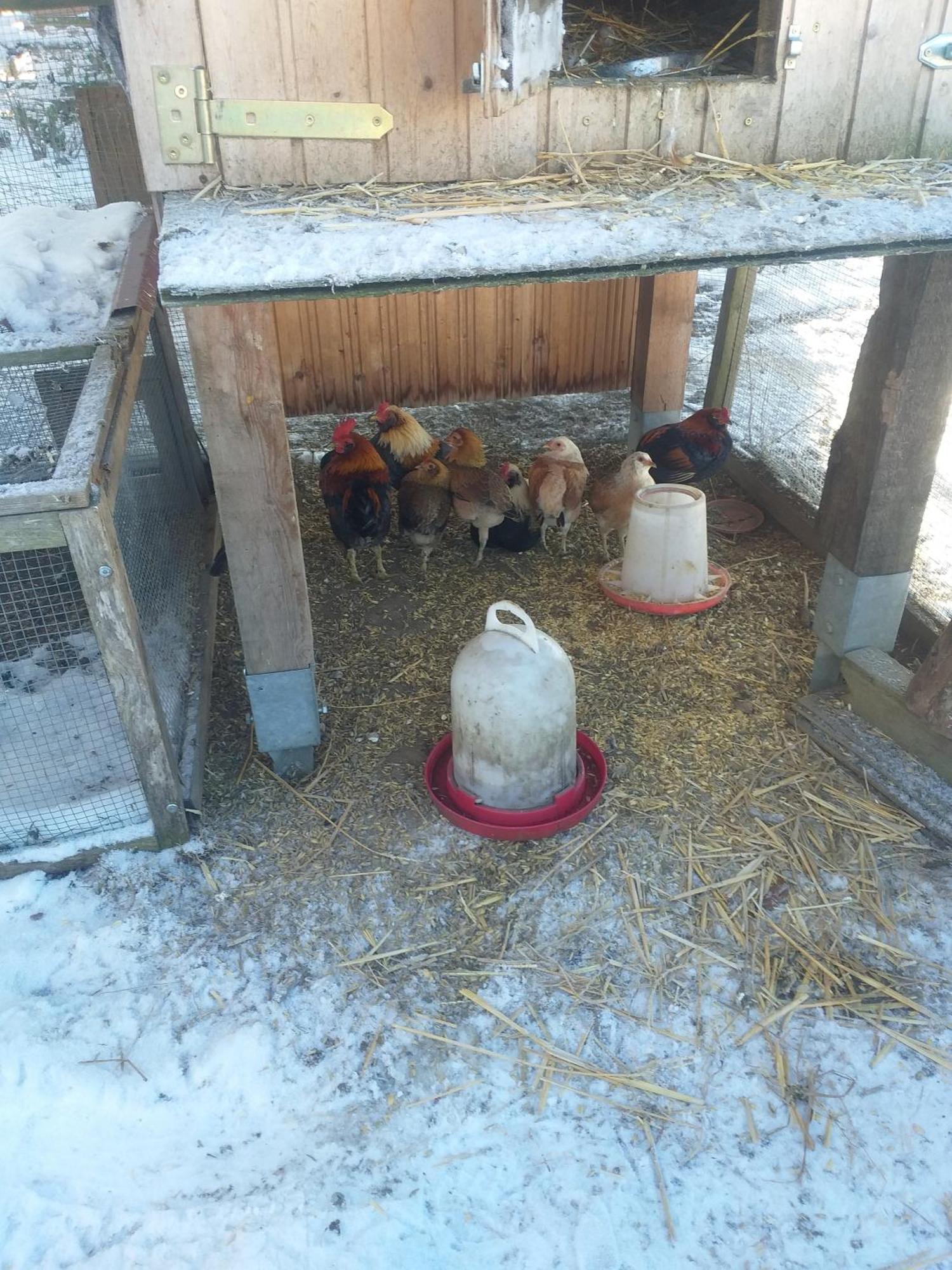 Ferienwohnung Sonnenschein Mit Kleinem Bauernhof ทาเลอ ภายนอก รูปภาพ